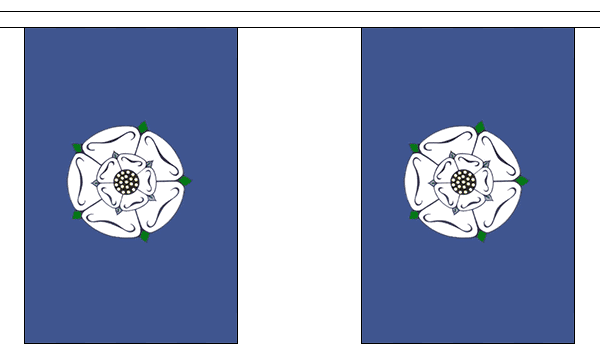 Yorkshire Old Bunting